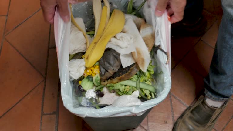 Best Property Management Cleanouts  in Lake Caroline, VA